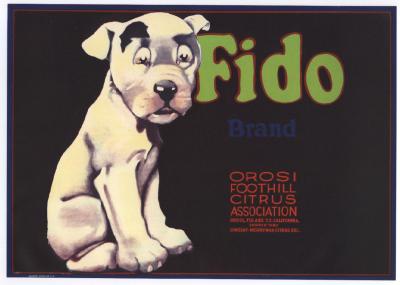 Fido